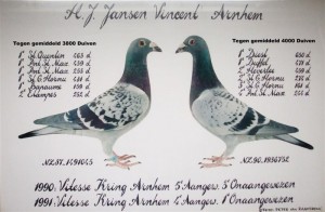 2 Topduiven op het hok de 045 Vader 100% Dr Linssen x Moeder de 61 van mijn Vader Vloog 5 x de 2 in de Kring Anhem de 045 was 2e Midfond duif van Nederland en heb hem later Kado gedaan Aan de Fam H. Eijerkamp. De 752 Gekregen van Sjaak van de Peppel 100% Tiny van Herpen Den bosch Topduif op de Vitesse Alle uitslagen op de foto bij de 1e 5 in de kring.